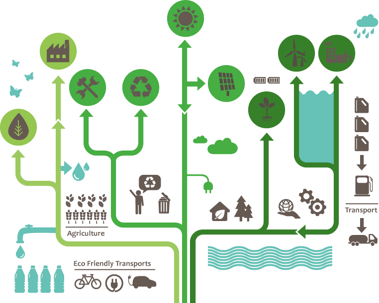 如同綠色樹枝向上伸展描述資源循環與能源轉化的永續流程示意圖